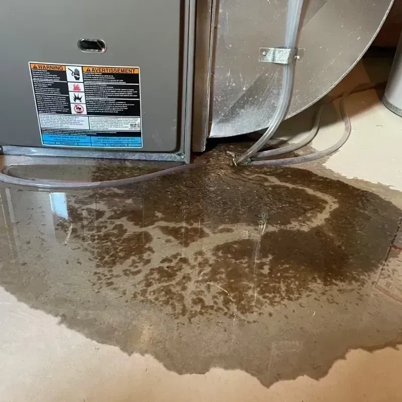 Appliance Leak Cleanup in Arnold, MO